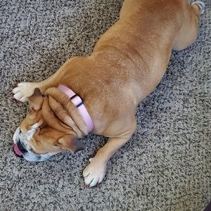 Meet your Posher, Amanda